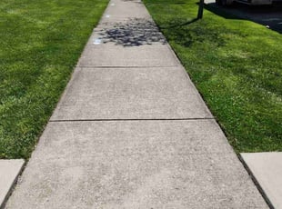 Ricardo H.'s Yard Cutting service result