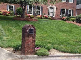 Shelia L.'s Lawn Mowing service result