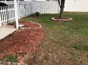 Leaf Removal by Micah Stewart for Tracey D. in Gastonia, NC