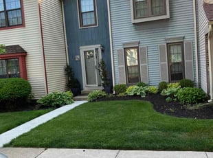 Ana B.'s Lawn Maintenance service result