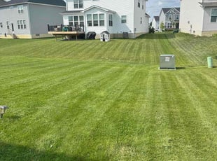 Shawna D.'s Lawn Care service result