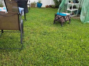 Leaf Removal by Raoul louza for Robert S. in Lakeland, FL