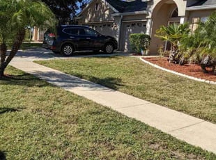 Bush Trimming by Louis Reele for Chereka K. in Land O' Lakes, FL