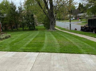 Robert J.'s Lawn Care service result