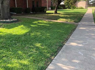 Wallon K.'s Lawn Service service result
