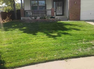 Ahna S.'s Lawn Maintenance service result
