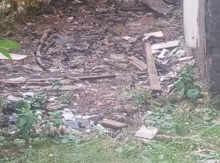 Cleanups by Robert Dukes for Amanda M. in Rochester, NY