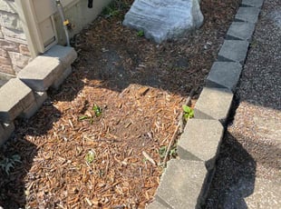 Weeding by Antonio DiLillo for Aaron D. in Raytown, MO