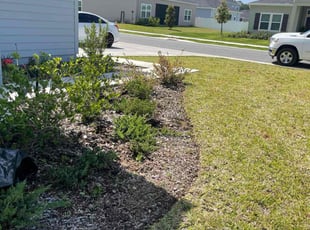 Weeding by Dennis Farquharson for Andrew M. in Ocala, FL