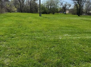 Marissa V.'s Lawn Maintenance service result