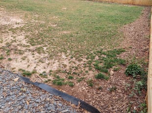Leaf Removal by Lamar Bradley for Danielle B. in Atlanta, GA