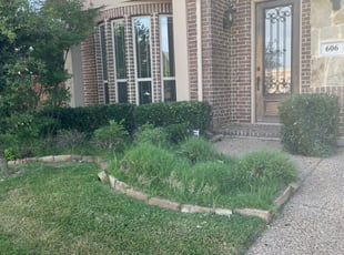 Bush Trimming by Mowpro's Llc for Ryan L. in Euless, TX