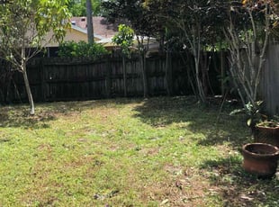 Weeding by Champ Johnson for Peter L. in West Palm Beach, FL