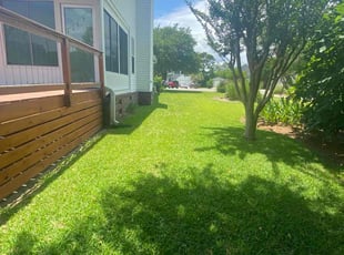 Angela K.'s Lawn Mowing service result