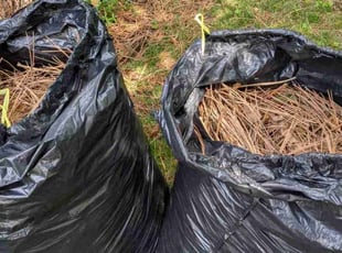 Leaf Removal by Scott Steigerwald for Ruth H. in Englewood, CO