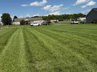 Joe L.'s Grass Cutting service result