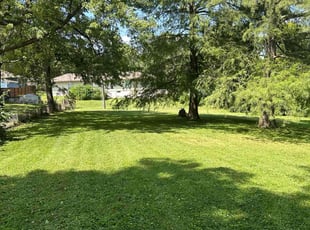 Taylor L.'s Lawn Maintenance service result