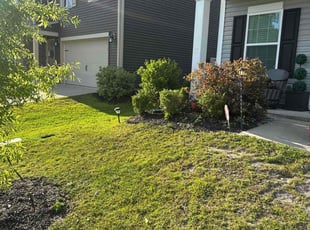 Bush Trimming by Travel Tull for Tynashia V. in Lexington, SC