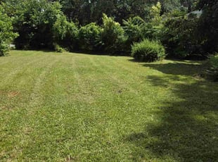 Leaf Removal by Kyle Bryant for Douglas S. in Greenville, SC
