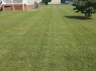 Denzel O.'s Lawn Care service result