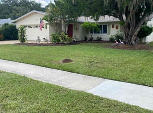 Maria S.'s Lawn Mowing service result