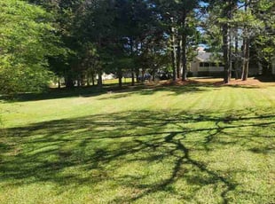 Melissa S.'s Lawn Service service result