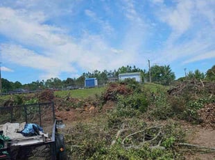 Leaf Removal by Gerald Spencer for Bonnie M. in Richmond, VA