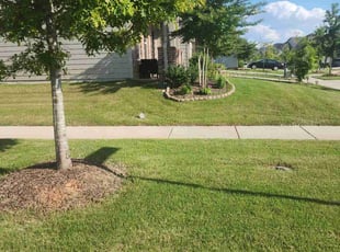 June K.'s Lawn Care service result