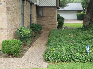 Bush Trimming by Greg Lee for John S. in Irving, TX