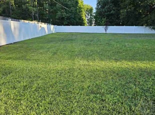 Haibibe V.'s Grass Cutting service result