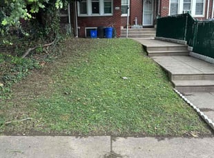 Linda K.'s Lawn Mowing Service service result