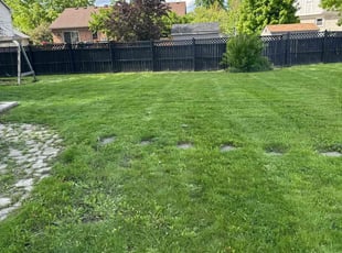 Leaf Removal by Dan Kreschmer for Elyse D. in New Baltimore, MI
