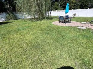 Amos S.'s Lawn Care service result