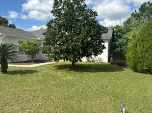 Marizela C.'s Lawn Care service result