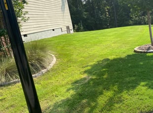 Isabel Z.'s Yard Cutting service result