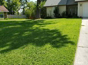 Camy S.'s Lawn Maintenance service result