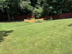 Nina C.'s Grass Cutting service result