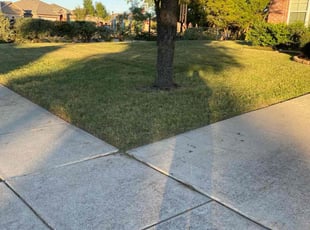 Rana B.'s Grass Cutting service result