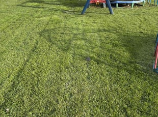 scott M.'s Lawn Mowing service result