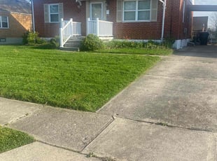 Beatrice A.'s Lawn Care service result