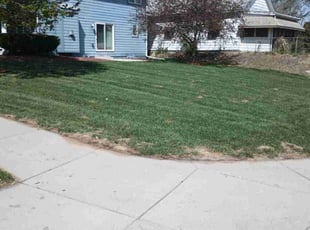 Kayla H.'s Yard Cutting service result