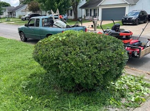Bush Trimming by Joseph Brock for Brittany W. in Murfreesboro, TN