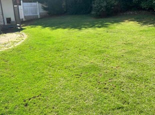 Kevin B.'s Yard Cutting service result