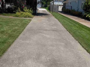 Mickala W.'s Lawn Mowing service result
