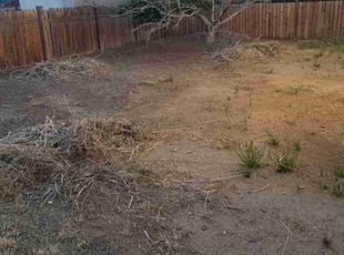 Monique A.'s Cleanups service result