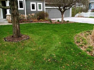 Jaclyn S.'s Lawn Care service result