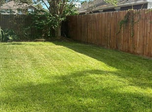 Kathy L.'s Lawn Care service result