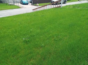 Cleanups by Christopher Dotson for Scudo P. in Kansas City, KS