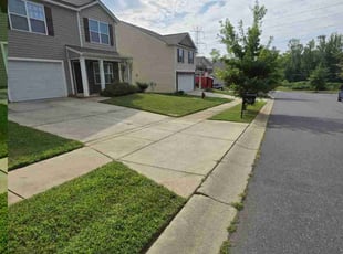 Tulip M.'s Lawn Mowing service result
