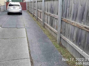 Leaf Removal by Ronald Burton for Sonya T. in Buffalo, NY